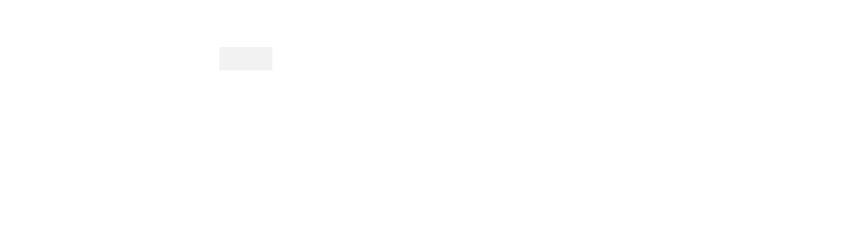 Litzius_Logo_2021_Negativ_Grau