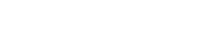 Litzius_Logo_2019_weiss_rg